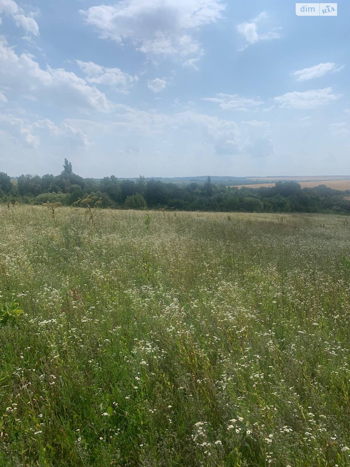 Земельна ділянка сільськогосподарського призначення в Малашівцях, площа 0.095 Га фото 1