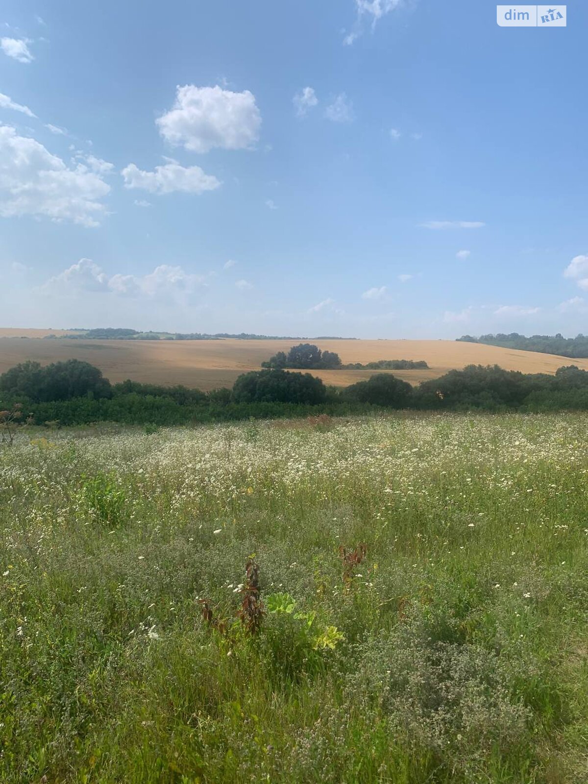 Земельный участок сельскохозяйственного назначения в Малашовцах, площадь 0.095 Га фото 1