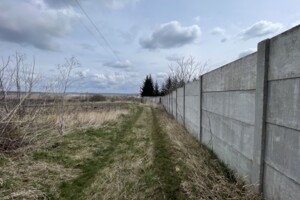 Земельный участок сельскохозяйственного назначения в Лесовых Гриновцах, площадь 33 сотки фото 2