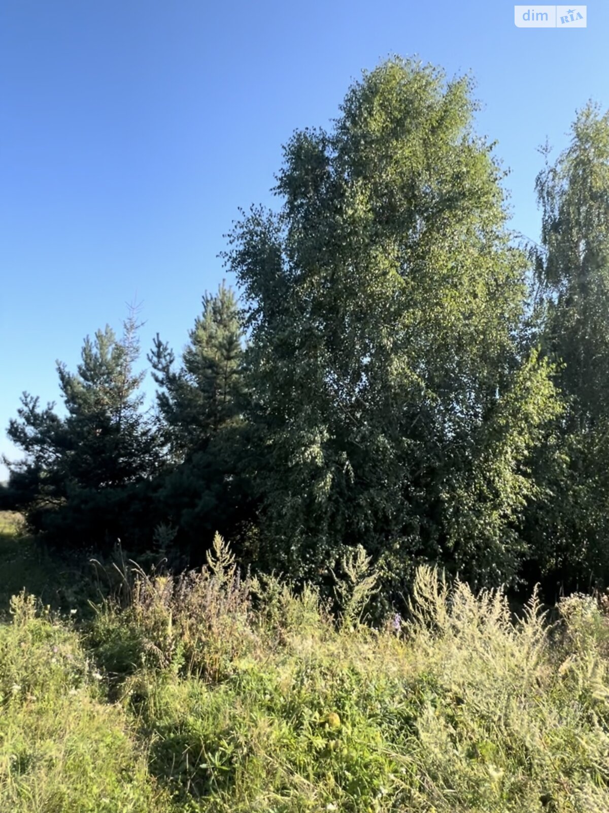 Земельна ділянка сільськогосподарського призначення в Хмельницькому, площа 125 соток фото 1 Земельна ділянка сільськогосподарського призначення в Хмельницькому, площа 125 соток фото 1