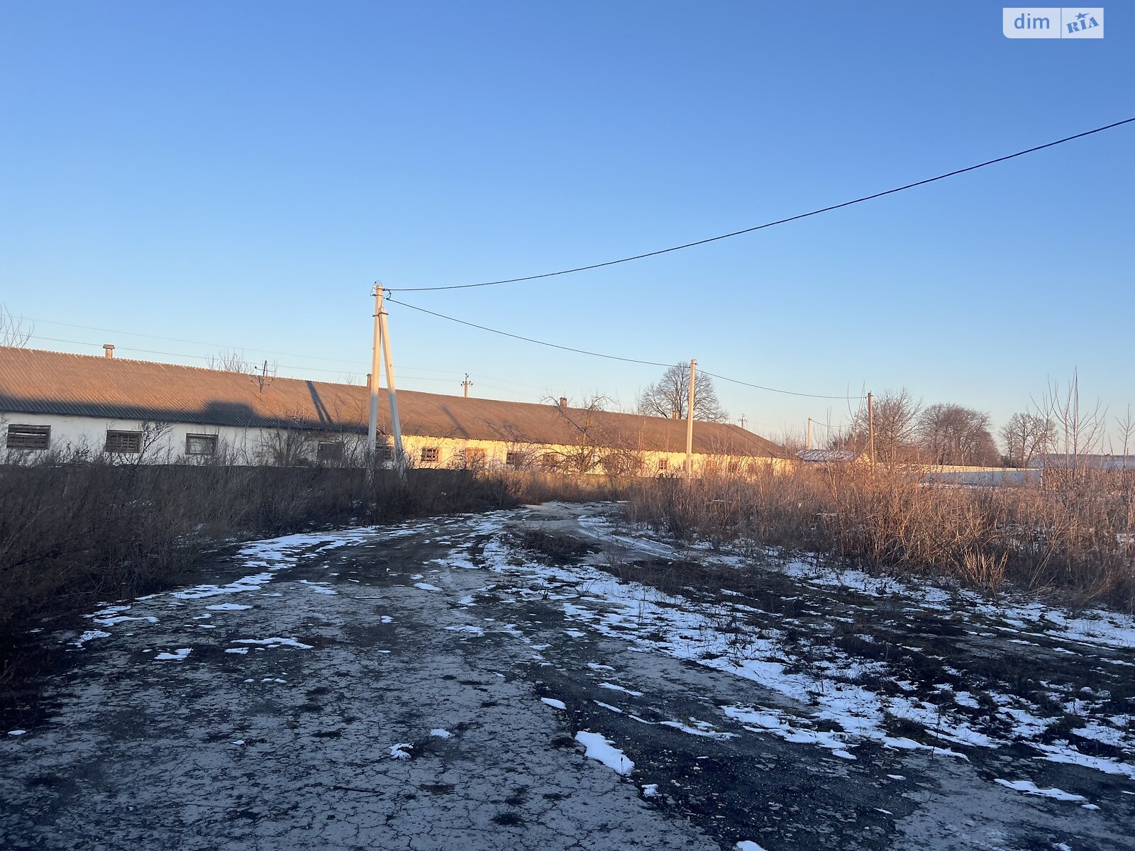 Земельна ділянка сільськогосподарського призначення в Правдівці, площа 3.3 Га фото 1