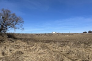 Земельна ділянка сільськогосподарського призначення в Лісових Гринівцях, площа 10 соток фото 2