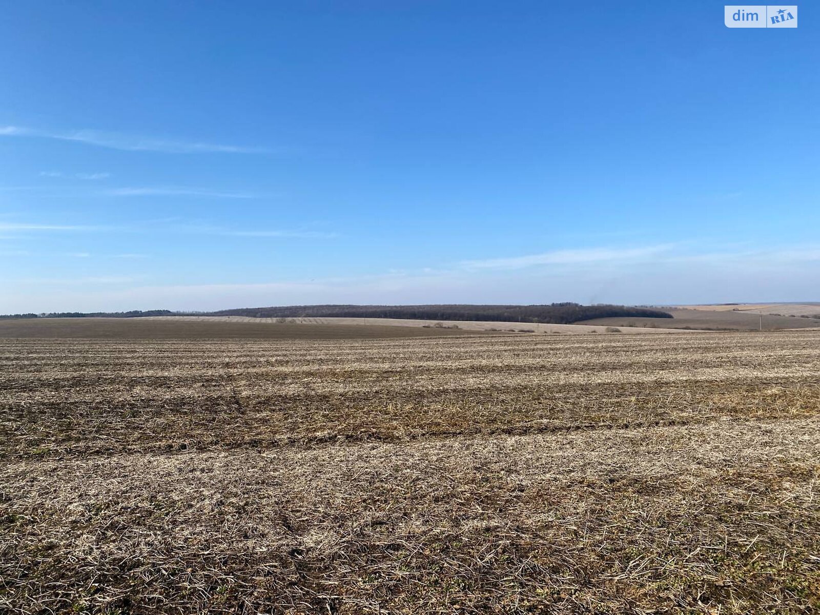 Земельна ділянка сільськогосподарського призначення в Лісових Гринівцях, площа 10 соток фото 1 Земельна ділянка сільськогосподарського призначення в Лісових Гринівцях, площа 10 соток фото 1