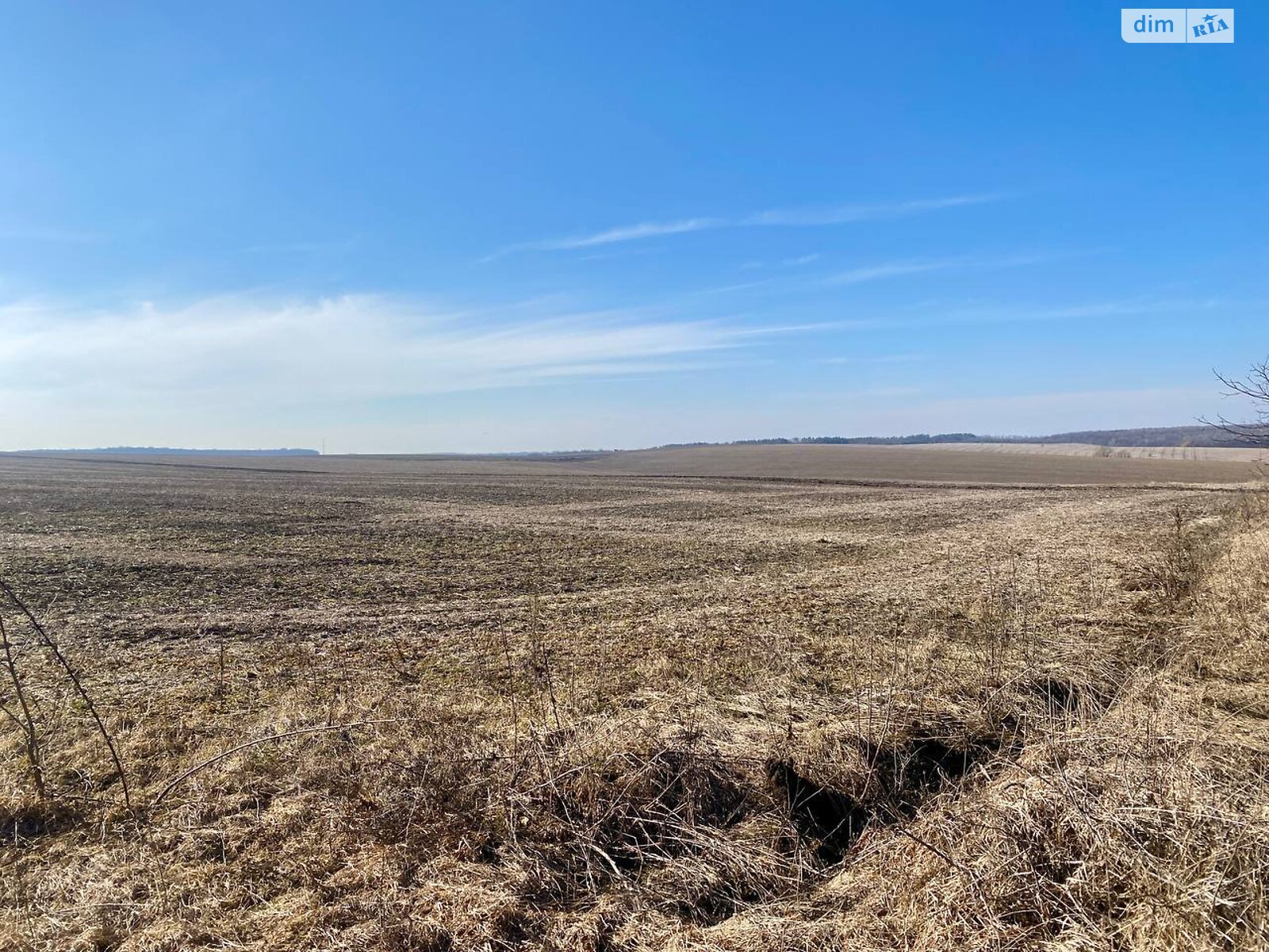 Земельна ділянка сільськогосподарського призначення в Лісових Гринівцях, площа 10 соток фото 1 Земельна ділянка сільськогосподарського призначення в Лісових Гринівцях, площа 10 соток фото 1