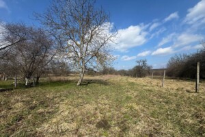 Земельна ділянка сільськогосподарського призначення в Стуфчинцях, площа 31.23 сотки фото 2