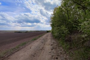Земельна ділянка сільськогосподарського призначення в Скаржинцях, площа 100 соток фото 2