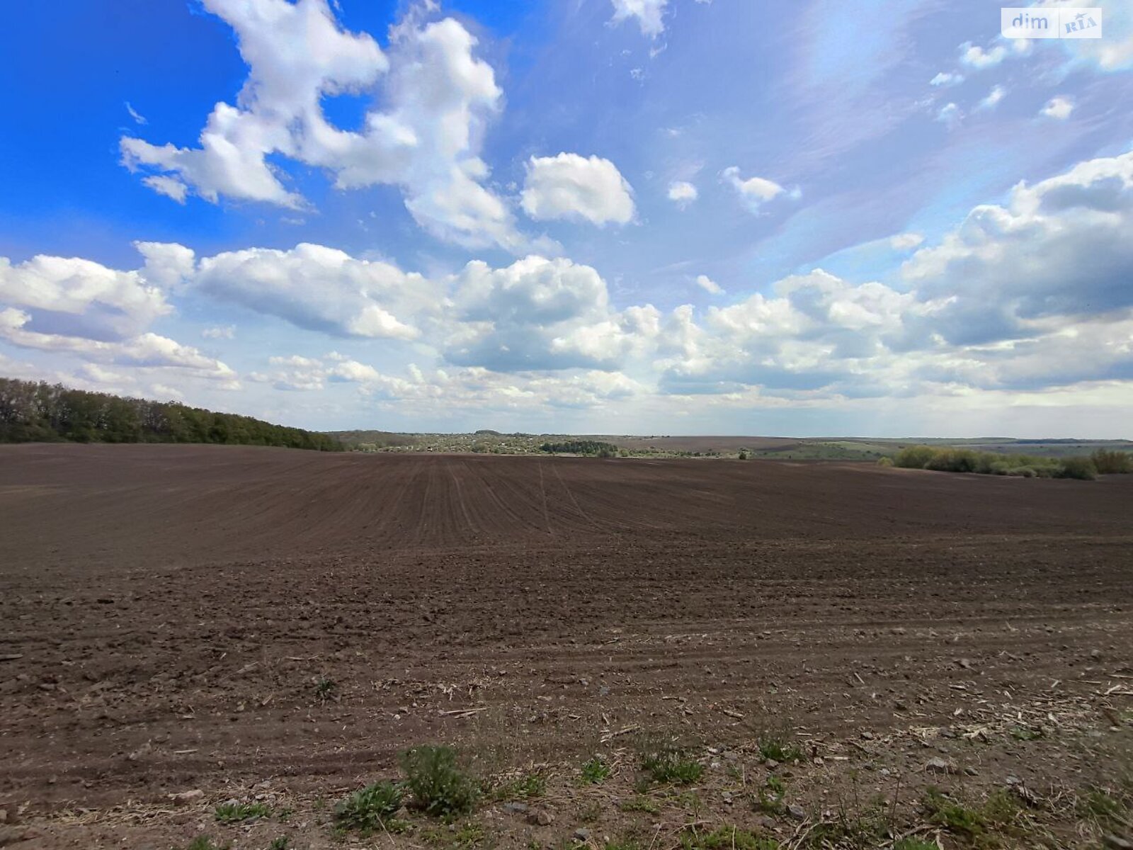 Земельна ділянка сільськогосподарського призначення в Скаржинцях, площа 100 соток фото 1 Земельна ділянка сільськогосподарського призначення в Скаржинцях, площа 100 соток фото 1