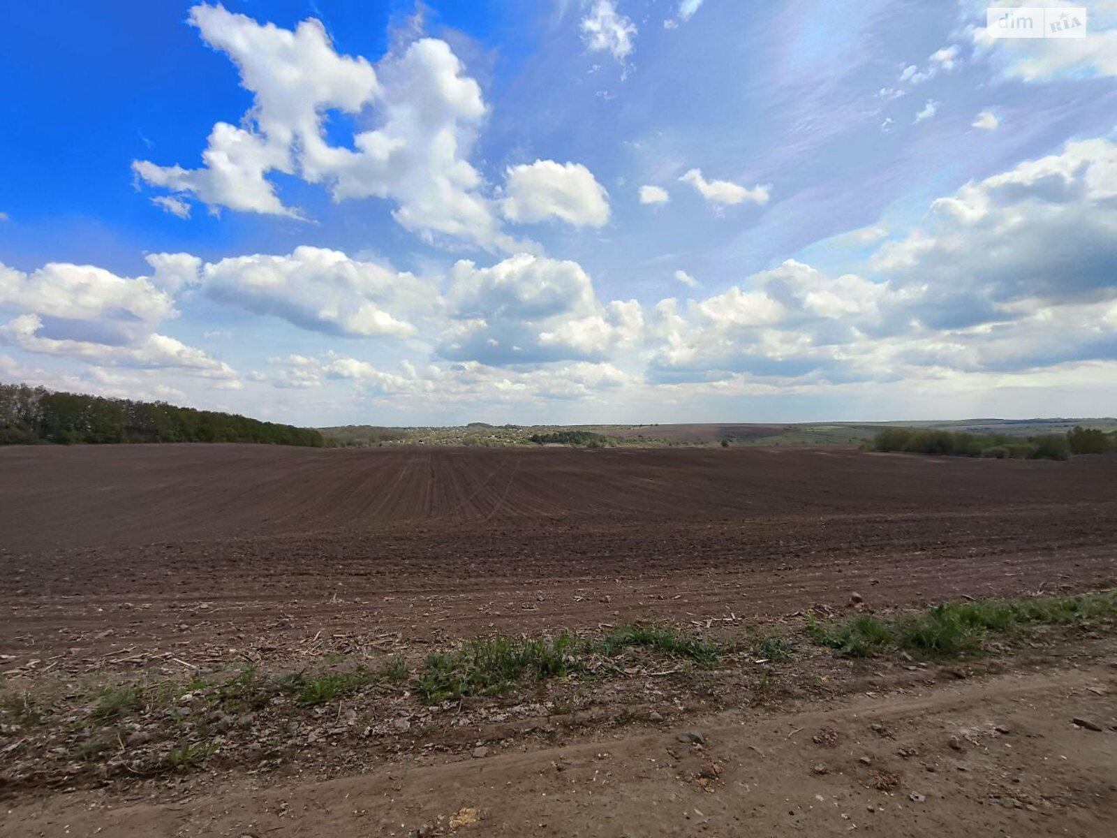 Земельна ділянка сільськогосподарського призначення в Скаржинцях, площа 100 соток фото 1 Земельна ділянка сільськогосподарського призначення в Скаржинцях, площа 100 соток фото 1
