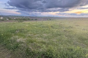 Земельна ділянка сільськогосподарського призначення в Лісових Гринівцях, площа 25 соток фото 2