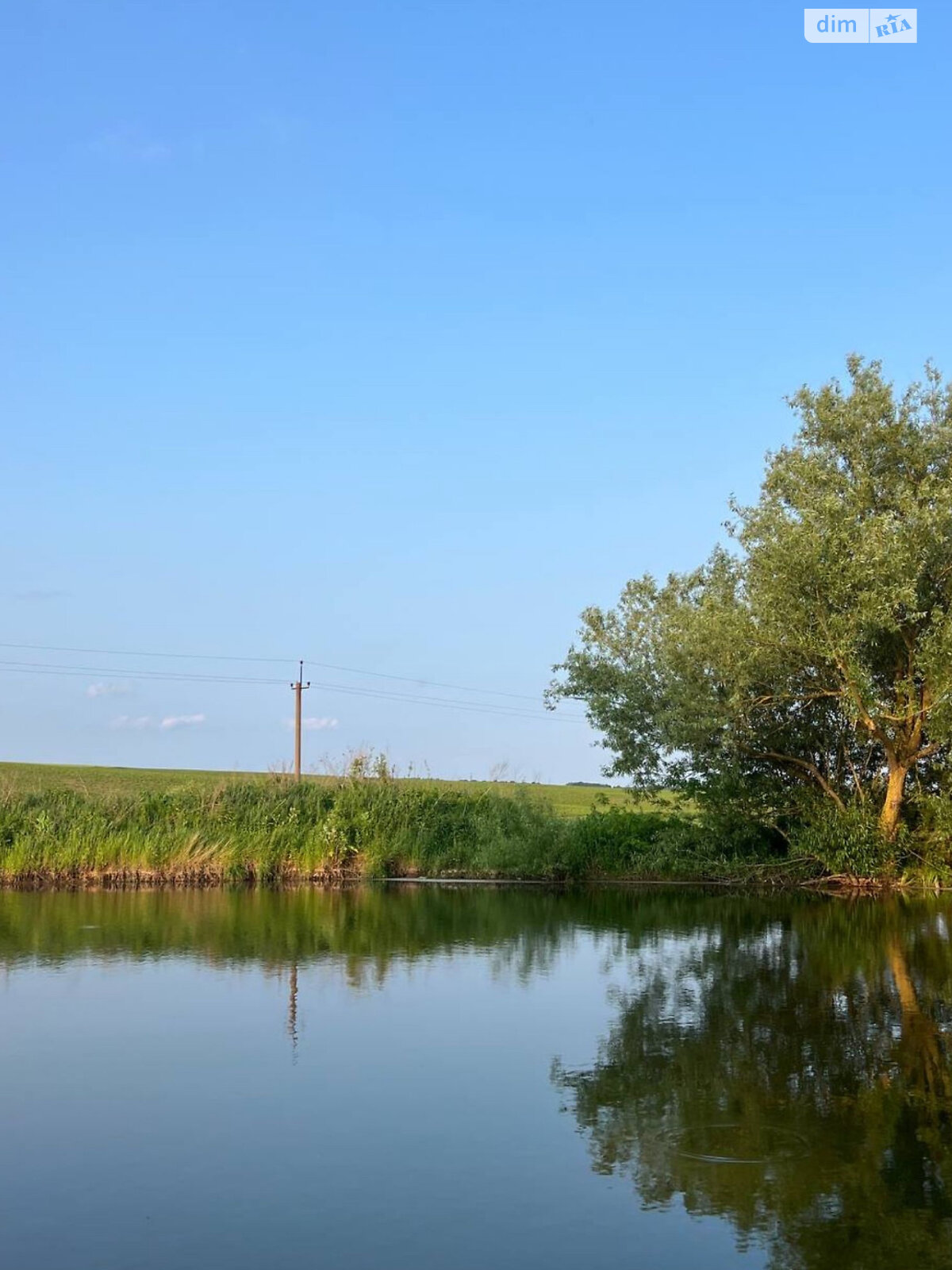 Земля сільськогосподарського призначення в Хмельницькому, район Озерна, площа 330 соток фото 1 Земля сільськогосподарського призначення в Хмельницькому, район Озерна, площа 330 соток фото 1