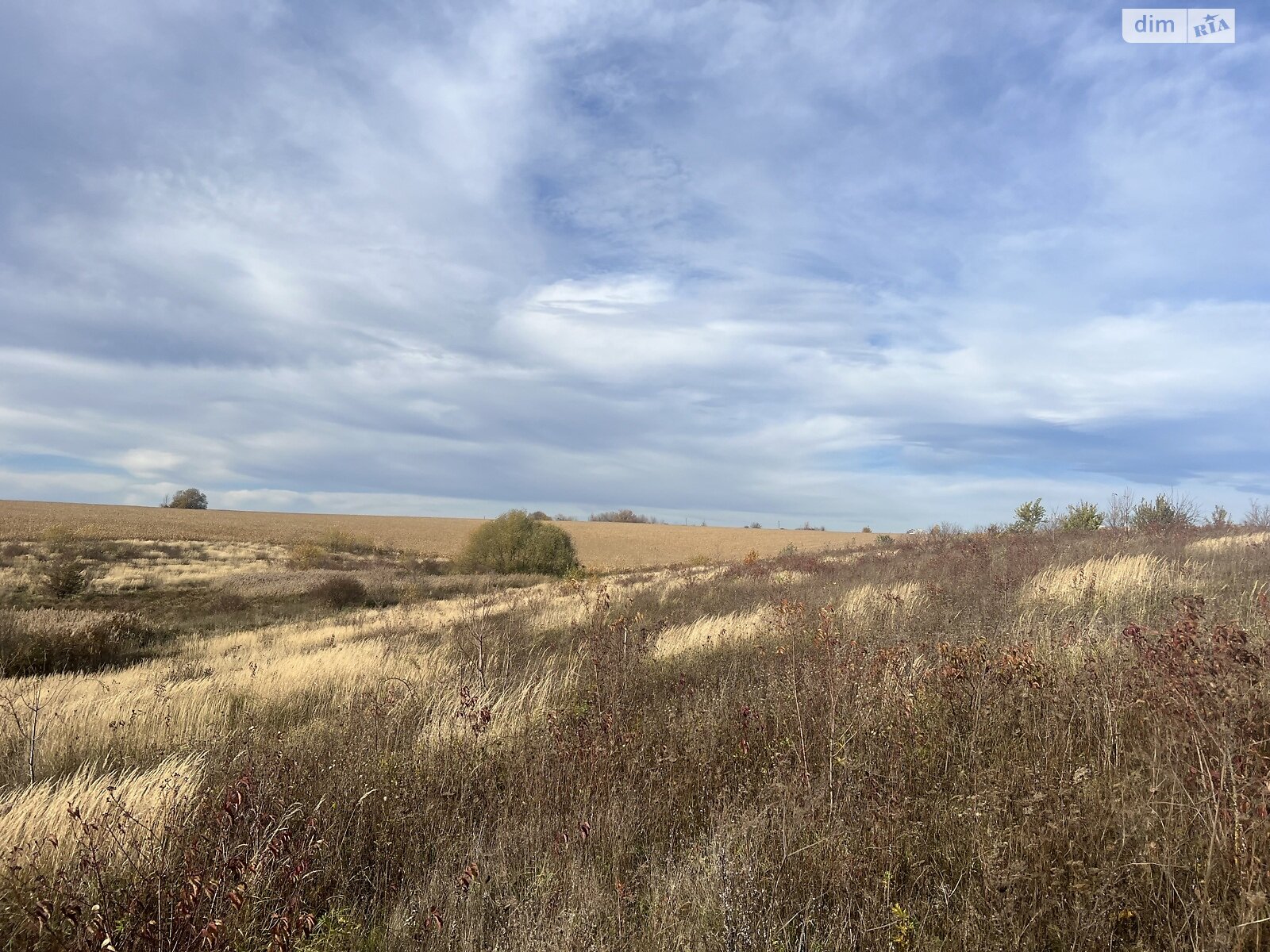 Земельна ділянка сільськогосподарського призначення в Лісових Гринівцях, площа 11.4 сотки фото 1 Земельна ділянка сільськогосподарського призначення в Лісових Гринівцях, площа 11.4 сотки фото 1