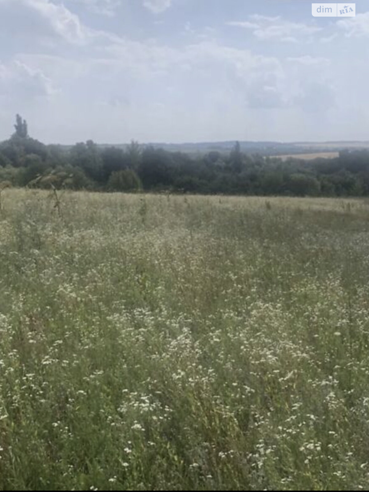 Земельный участок сельскохозяйственного назначения в Малашовцах, площадь 9.5 сотки фото 1