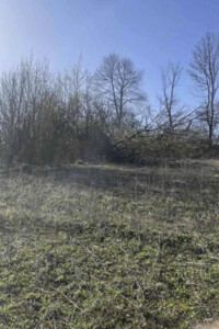 Земельный участок сельскохозяйственного назначения в Малашовцах, площадь 9.5 сотки фото 2