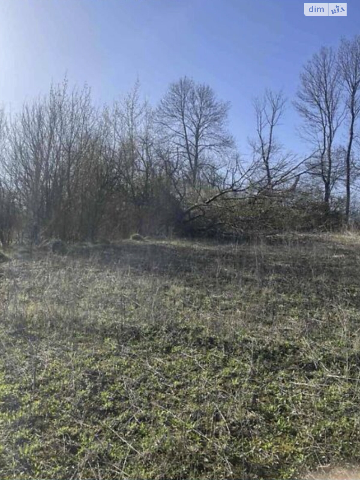 Земельный участок сельскохозяйственного назначения в Малашовцах, площадь 9.5 сотки фото 1