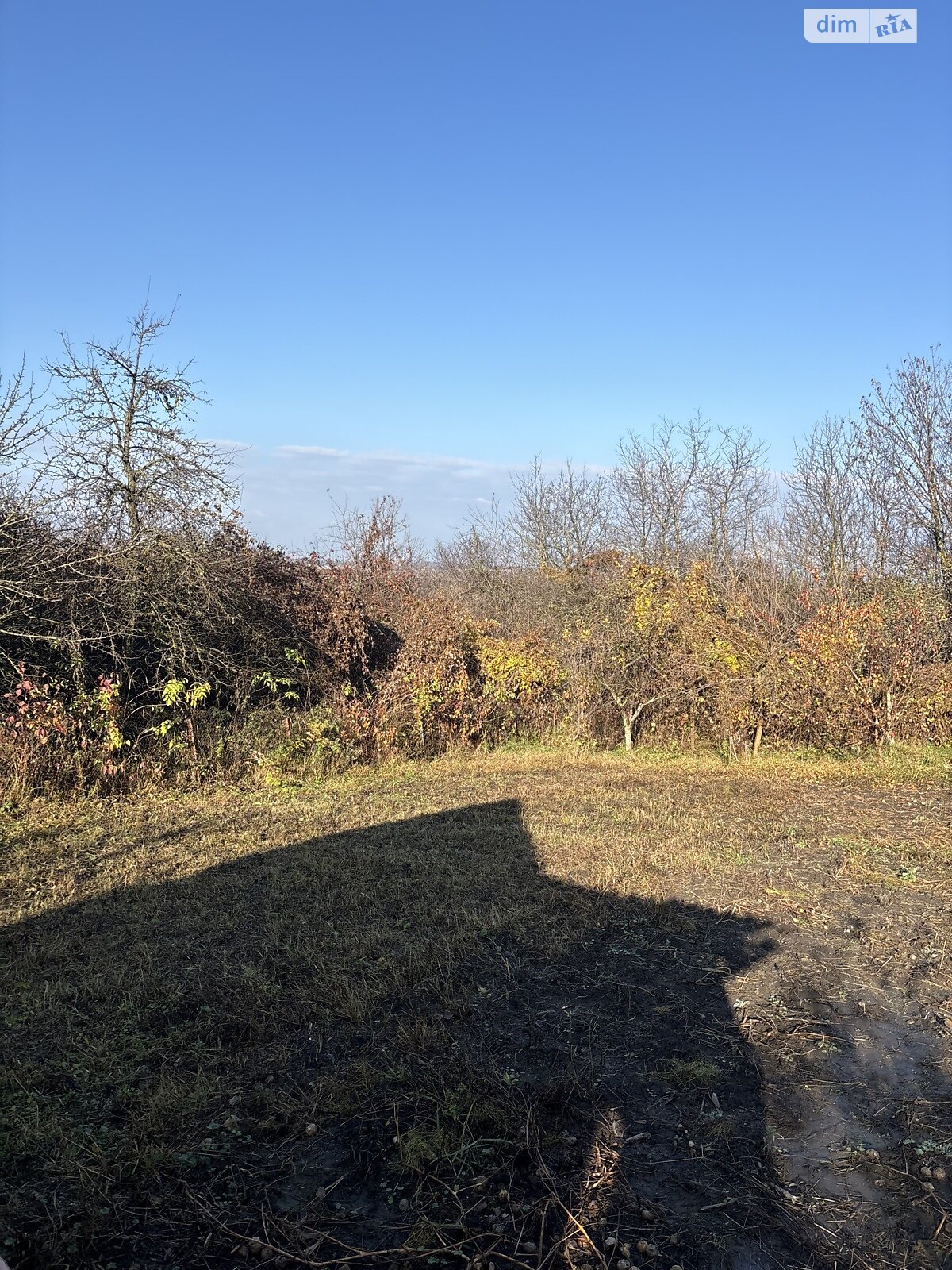 Земельна ділянка сільськогосподарського призначення в Видрові Доли, площа 5.6 сотки фото 1