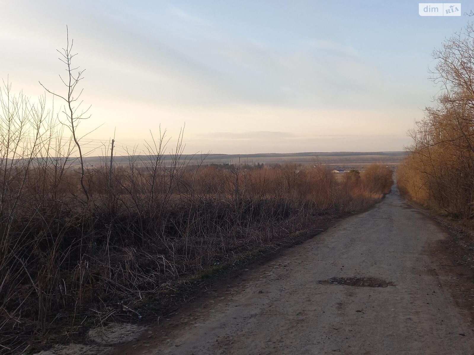 Земельна ділянка сільськогосподарського призначення в Масівцях, площа 1.7 Га фото 1 Земельна ділянка сільськогосподарського призначення в Масівцях, площа 1.7 Га фото 1