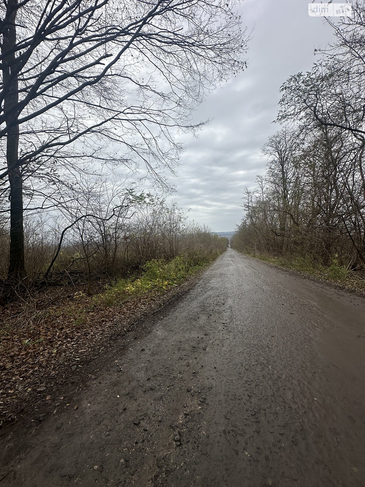 Земельна ділянка сільськогосподарського призначення в Масівцях, площа 1.7 Га фото 1 Земельна ділянка сільськогосподарського призначення в Масівцях, площа 1.7 Га фото 1