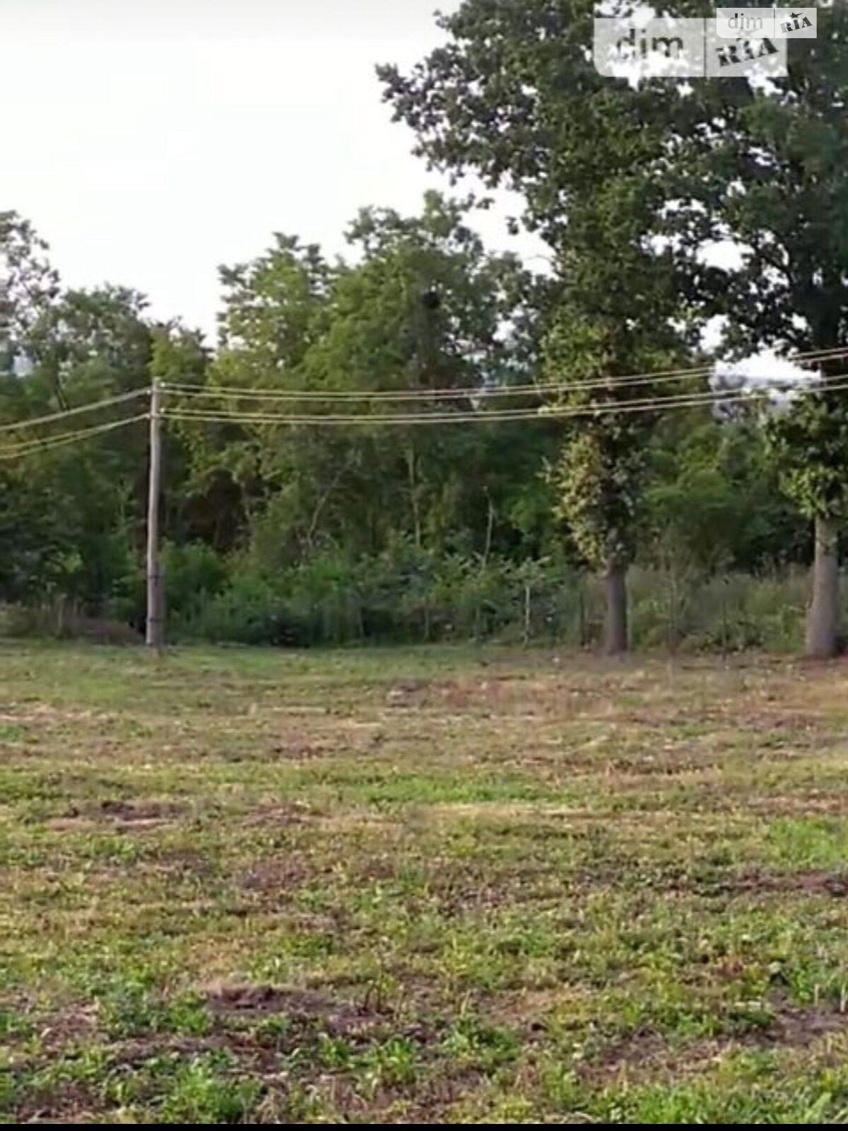 Земельна ділянка сільськогосподарського призначення в Масівцях, площа 1.7 Га фото 1 Земельна ділянка сільськогосподарського призначення в Масівцях, площа 1.7 Га фото 1