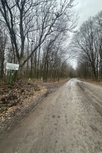 Земельна ділянка сільськогосподарського призначення в Масівцях, площа 1.7 Га фото 2 Земельна ділянка сільськогосподарського призначення в Масівцях, площа 1.7 Га фото 2