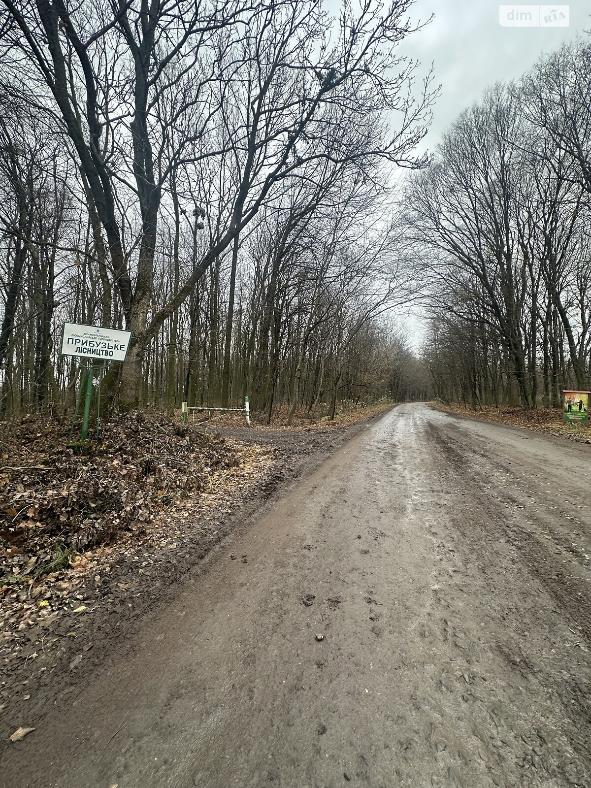 Земельна ділянка сільськогосподарського призначення в Масівцях, площа 1.7 Га фото 1 Земельна ділянка сільськогосподарського призначення в Масівцях, площа 1.7 Га фото 1