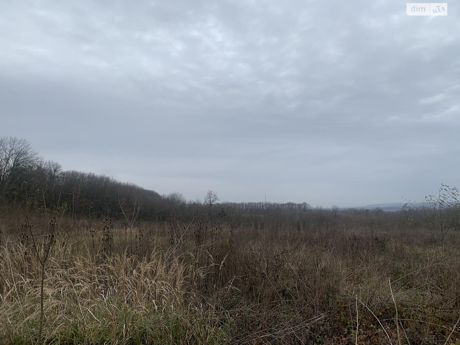 Земельна ділянка сільськогосподарського призначення в Масівцях, площа 1.7 Га фото 1 Земельна ділянка сільськогосподарського призначення в Масівцях, площа 1.7 Га фото 1