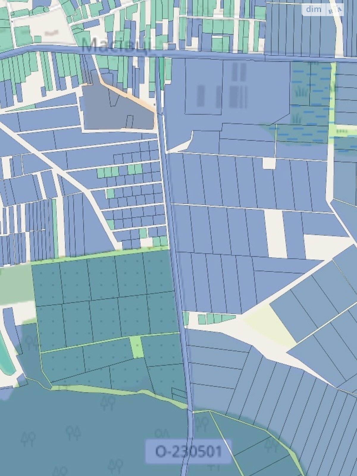 Земельна ділянка сільськогосподарського призначення в Масівцях, площа 1.7 Га фото 1 Земельна ділянка сільськогосподарського призначення в Масівцях, площа 1.7 Га фото 1