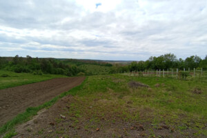 Земельна ділянка сільськогосподарського призначення в Ходаковцях, площа 18 соток фото 2 Земельна ділянка сільськогосподарського призначення в Ходаковцях, площа 18 соток фото 2