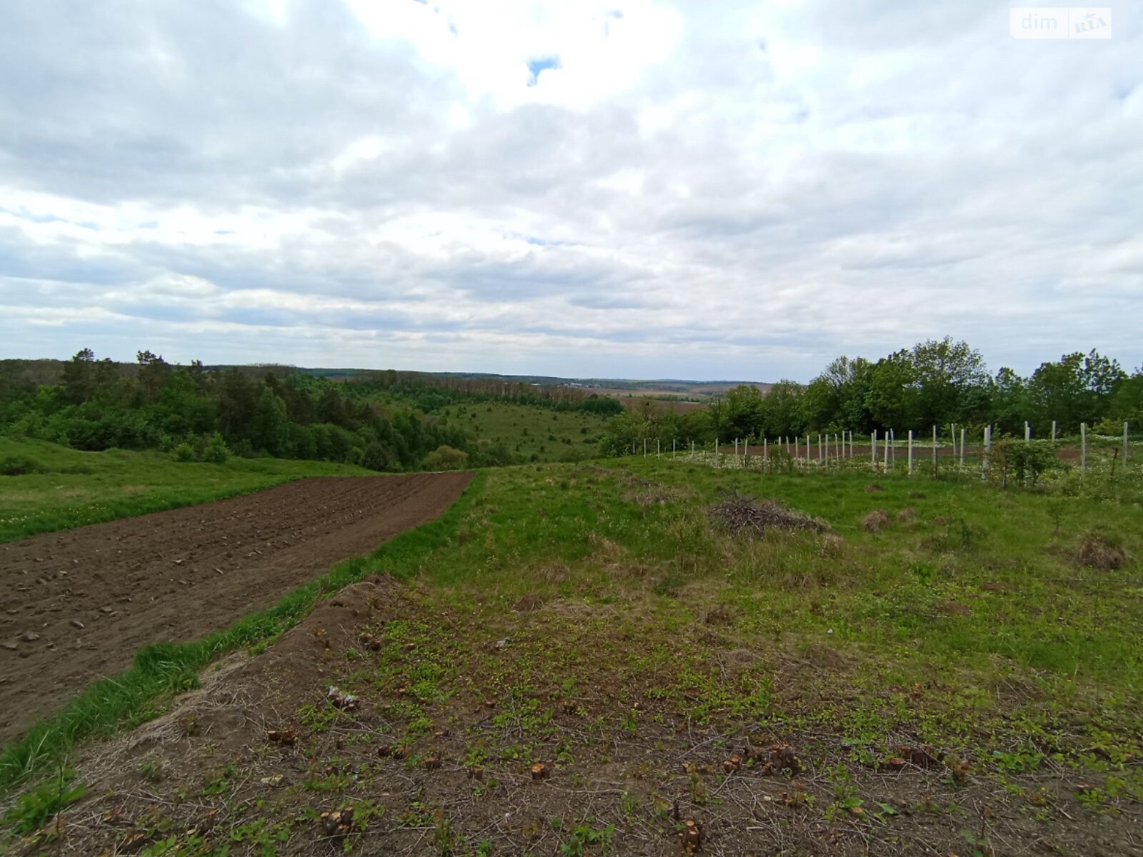 Земельна ділянка сільськогосподарського призначення в Ходаковцях, площа 18 соток фото 1 Земельна ділянка сільськогосподарського призначення в Ходаковцях, площа 18 соток фото 1