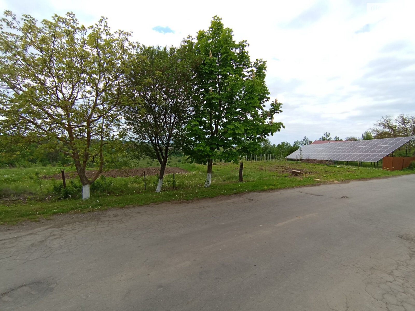 Земельна ділянка сільськогосподарського призначення в Ходаковцях, площа 18 соток фото 1 Земельна ділянка сільськогосподарського призначення в Ходаковцях, площа 18 соток фото 1