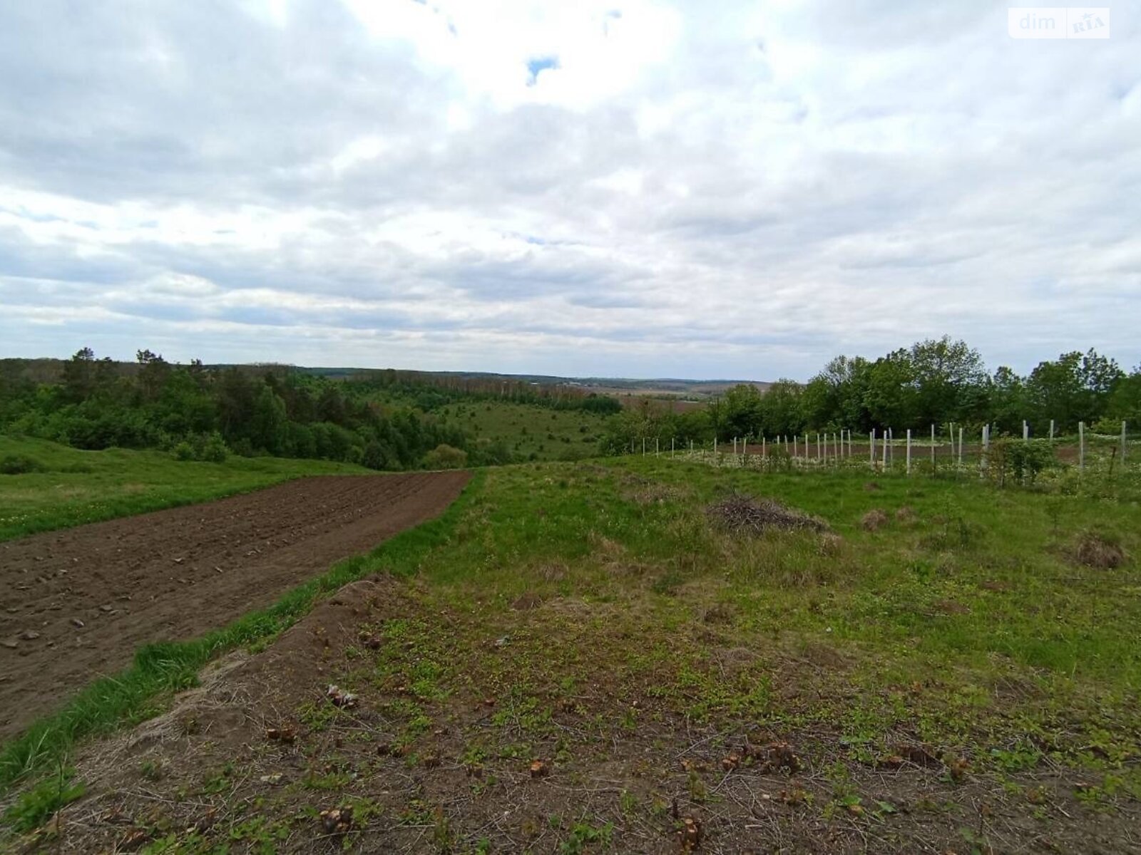 Земельный участок сельскохозяйственного назначения в Ходаковцах, площадь 18 соток фото 1
