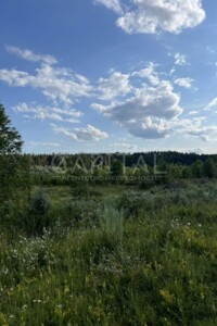 Земельный участок сельскохозяйственного назначения в Ходосовке, площадь 12 соток фото 2