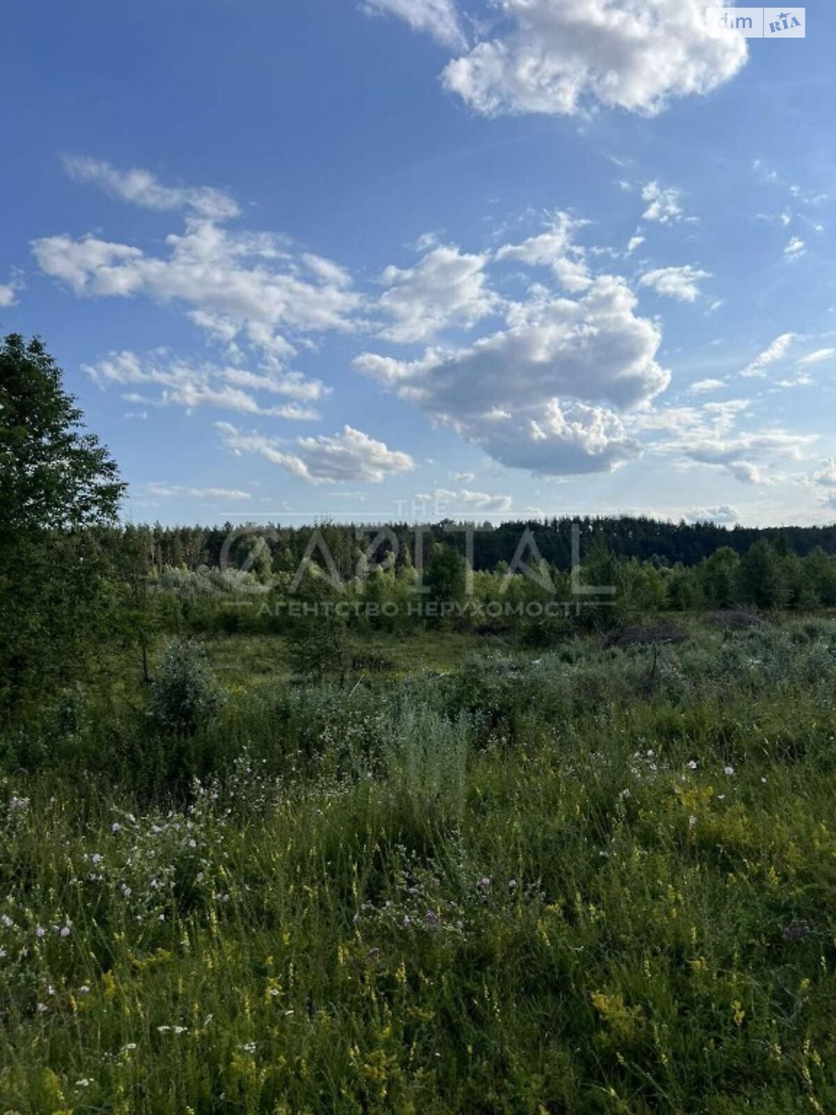 Земельный участок сельскохозяйственного назначения в Ходосовке, площадь 12 соток фото 1
