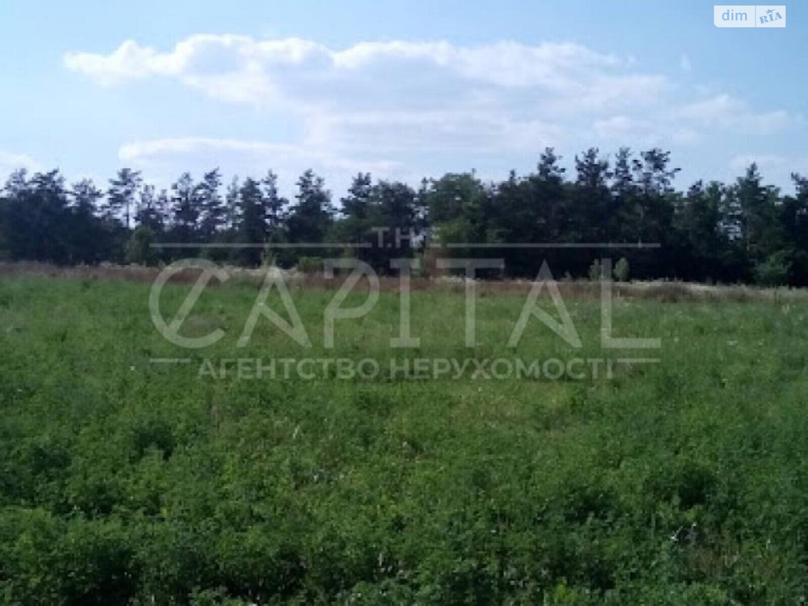 Земельный участок сельскохозяйственного назначения в Ходосовке, площадь 69 соток фото 1