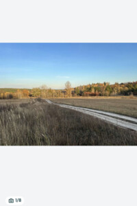 Земельна ділянка сільськогосподарського призначення в Ходосівкі, площа 176.09 сотки фото 2 Земельна ділянка сільськогосподарського призначення в Ходосівкі, площа 176.09 сотки фото 2