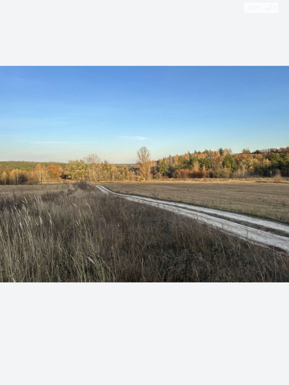 Земельна ділянка сільськогосподарського призначення в Ходосівкі, площа 176.09 сотки фото 1 Земельна ділянка сільськогосподарського призначення в Ходосівкі, площа 176.09 сотки фото 1