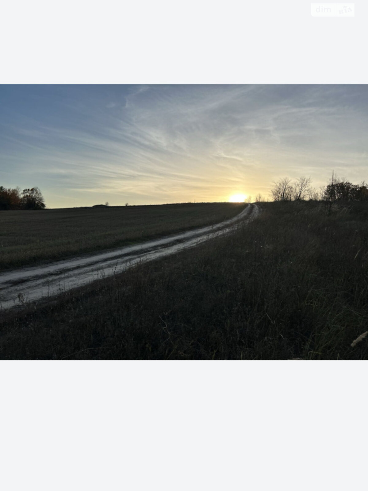 Земельна ділянка сільськогосподарського призначення в Ходосівкі, площа 176.09 сотки фото 1 Земельна ділянка сільськогосподарського призначення в Ходосівкі, площа 176.09 сотки фото 1