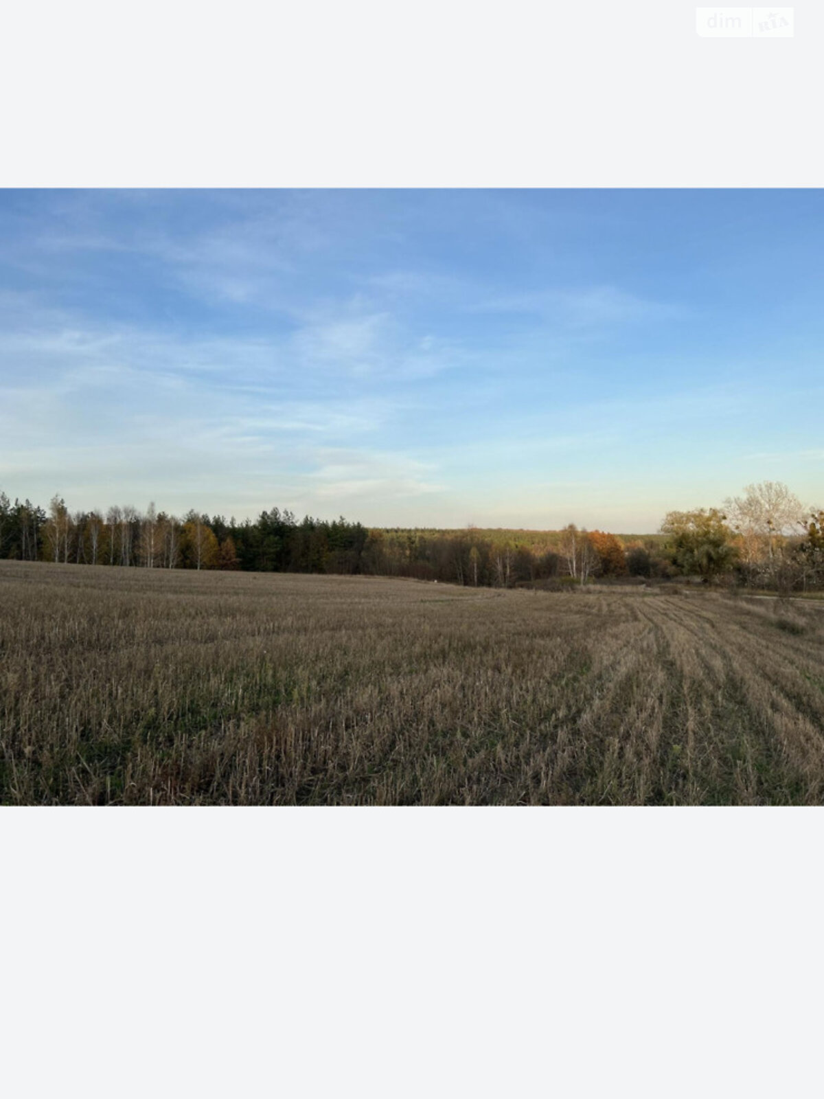 Земельна ділянка сільськогосподарського призначення в Ходосівкі, площа 176.09 сотки фото 1 Земельна ділянка сільськогосподарського призначення в Ходосівкі, площа 176.09 сотки фото 1