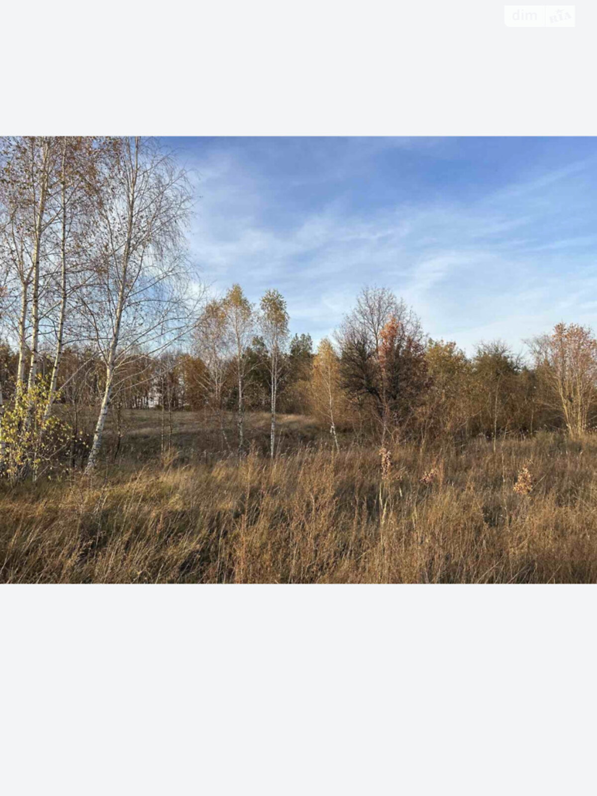 Земельна ділянка сільськогосподарського призначення в Ходосівкі, площа 176.09 сотки фото 1 Земельна ділянка сільськогосподарського призначення в Ходосівкі, площа 176.09 сотки фото 1