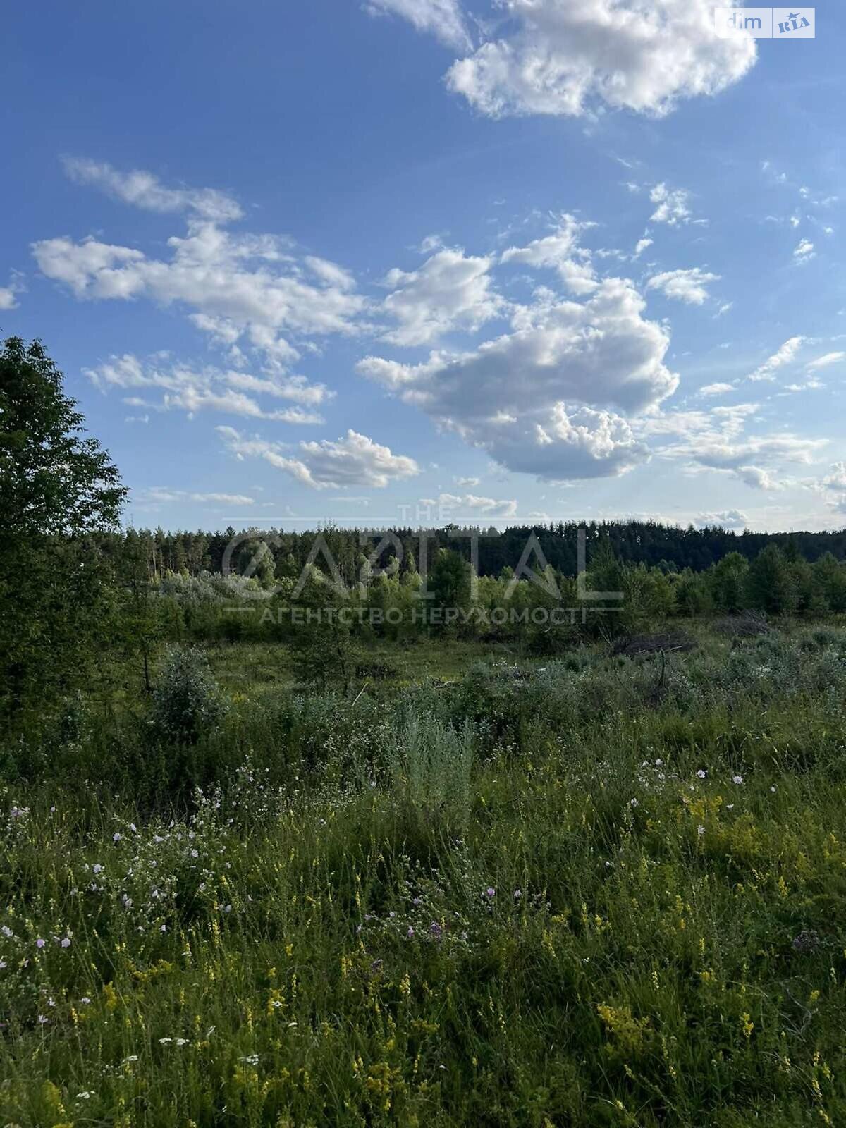 Земельна ділянка сільськогосподарського призначення в Ходосівкі, площа 12 соток фото 1