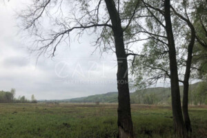 Земельна ділянка сільськогосподарського призначення в Ходосівкі, площа 899 соток фото 2