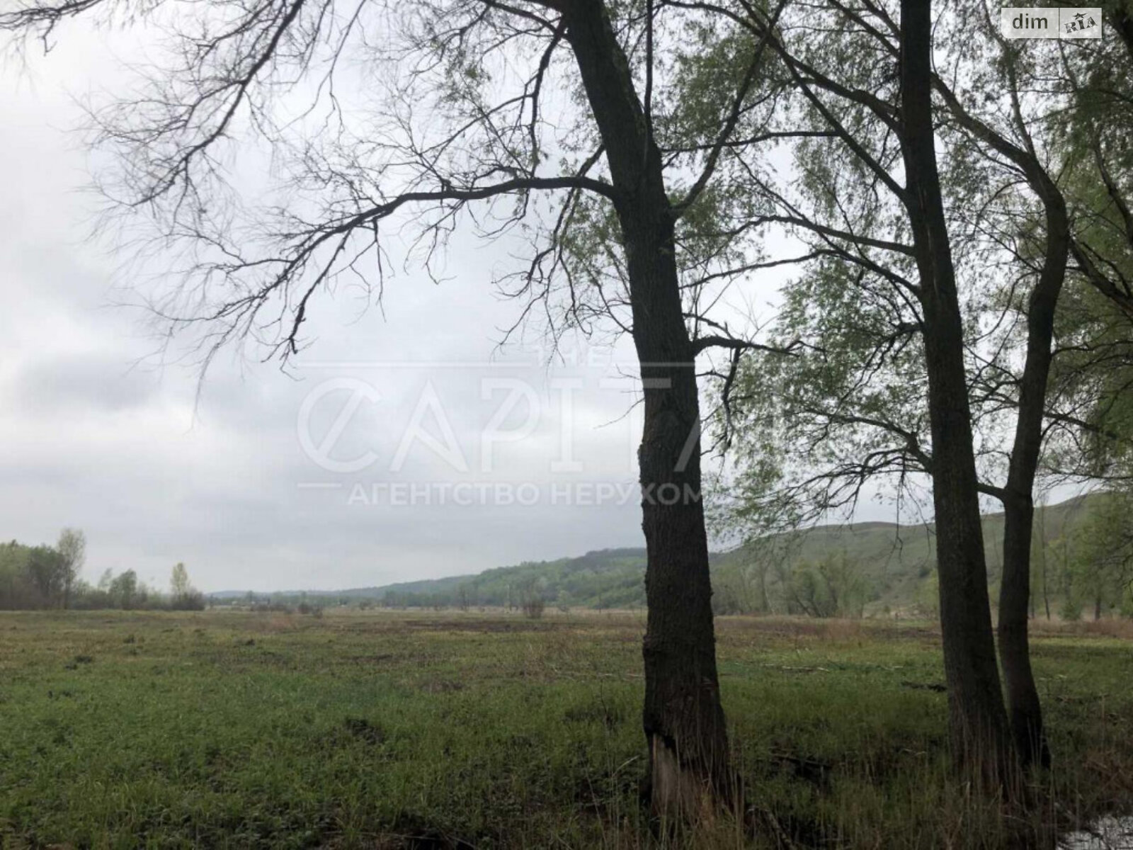 Земельна ділянка сільськогосподарського призначення в Ходосівкі, площа 899 соток фото 1