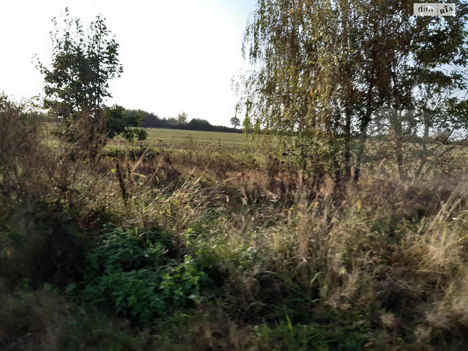 Земельный участок сельскохозяйственного назначения в Холмке, площадь 2 Га фото 1