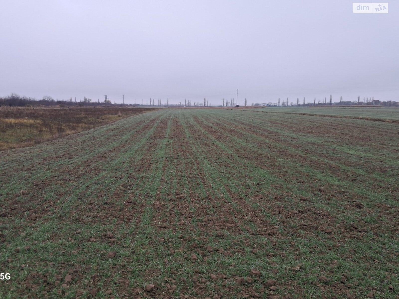 Земельна ділянка сільськогосподарського призначення в Холмку, площа 44 сотки фото 1