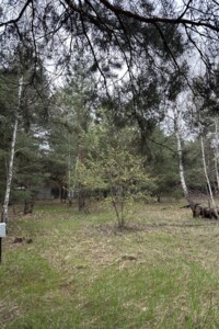 Земельный участок сельскохозяйственного назначения в Хотяновке, площадь 11.91 сотки фото 2