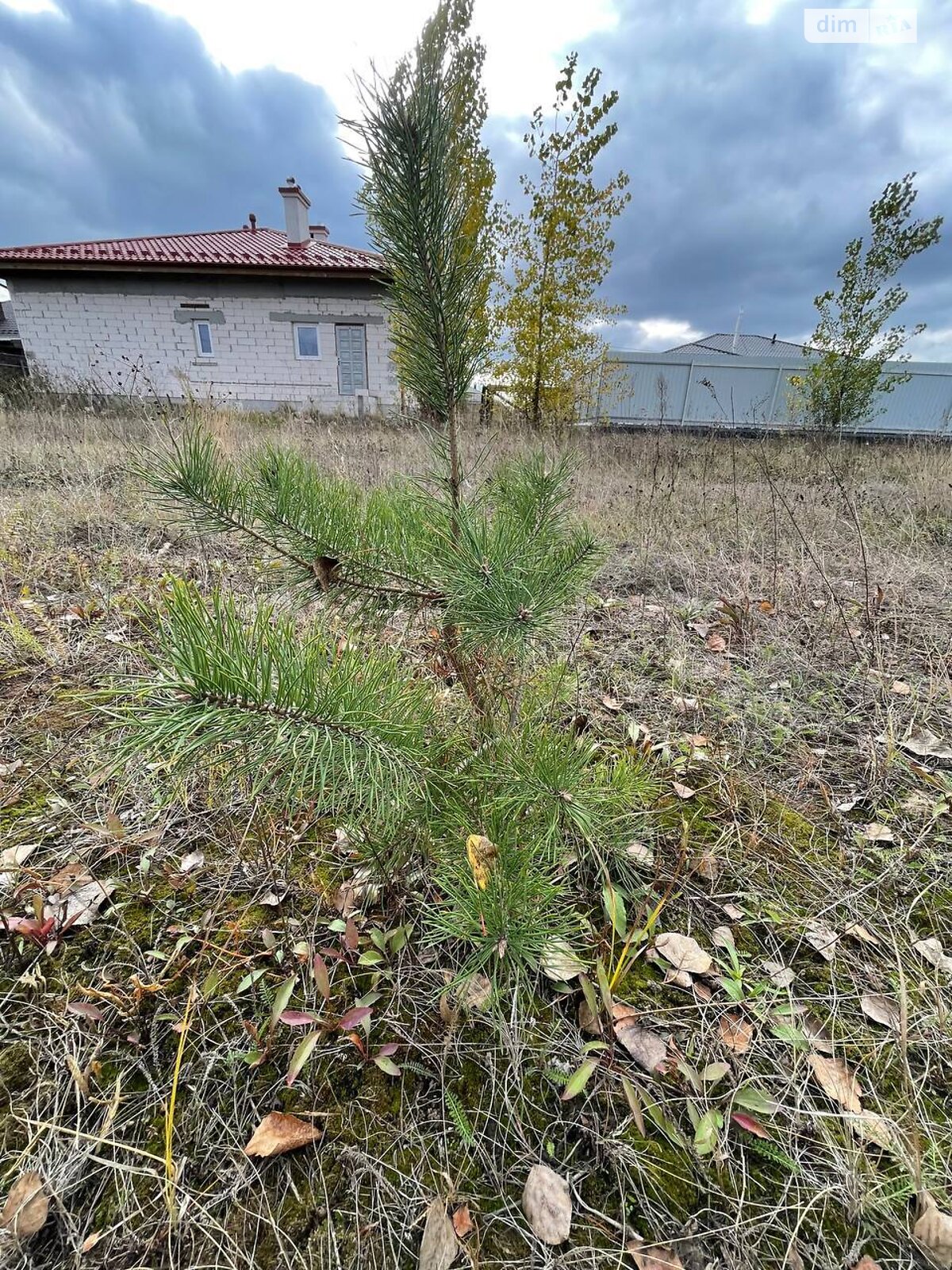Земельна ділянка сільськогосподарського призначення в Хотянівці, площа 7.2 сотки фото 1 Земельна ділянка сільськогосподарського призначення в Хотянівці, площа 7.2 сотки фото 1