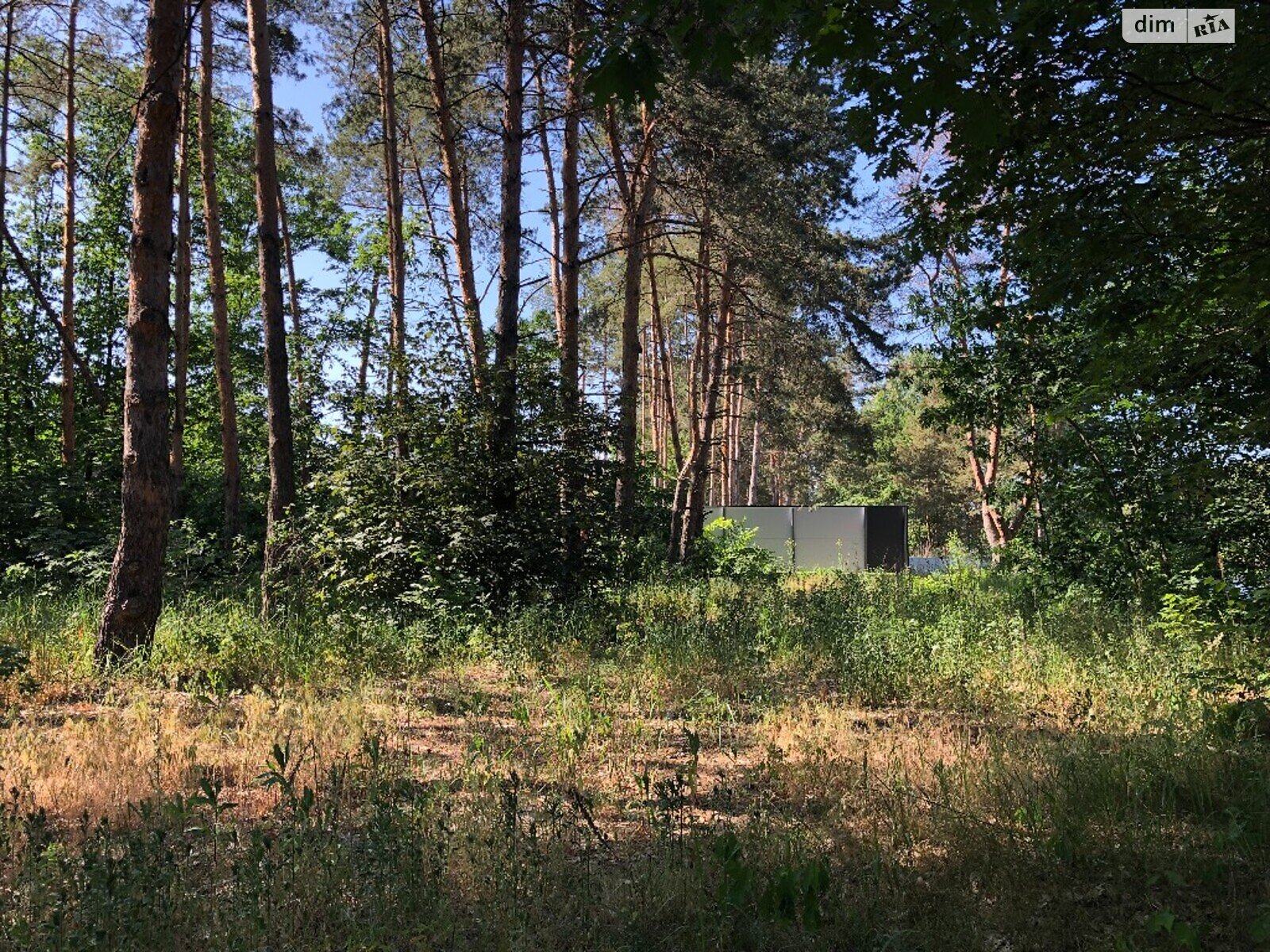 Земельна ділянка сільськогосподарського призначення в Хотянівці, площа 45 соток фото 1