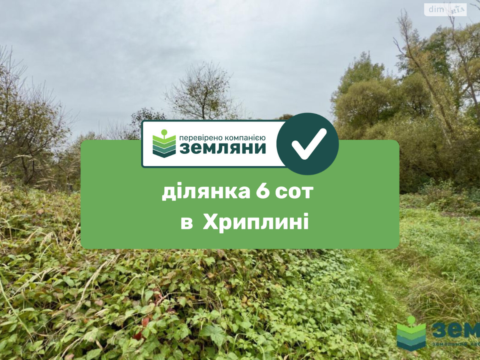 Земельна ділянка сільськогосподарського призначення в Хриплині, площа 5.9 сотки фото 1 Земельна ділянка сільськогосподарського призначення в Хриплині, площа 5.9 сотки фото 1