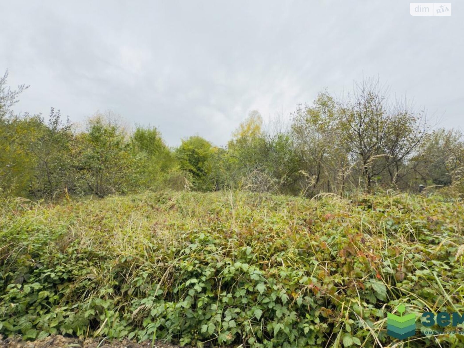 Земельна ділянка сільськогосподарського призначення в Хриплині, площа 5.9 сотки фото 1 Земельна ділянка сільськогосподарського призначення в Хриплині, площа 5.9 сотки фото 1