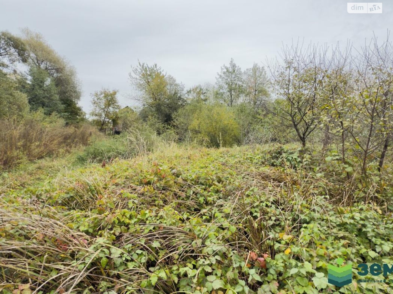 Земельна ділянка сільськогосподарського призначення в Хриплині, площа 5.9 сотки фото 1 Земельна ділянка сільськогосподарського призначення в Хриплині, площа 5.9 сотки фото 1