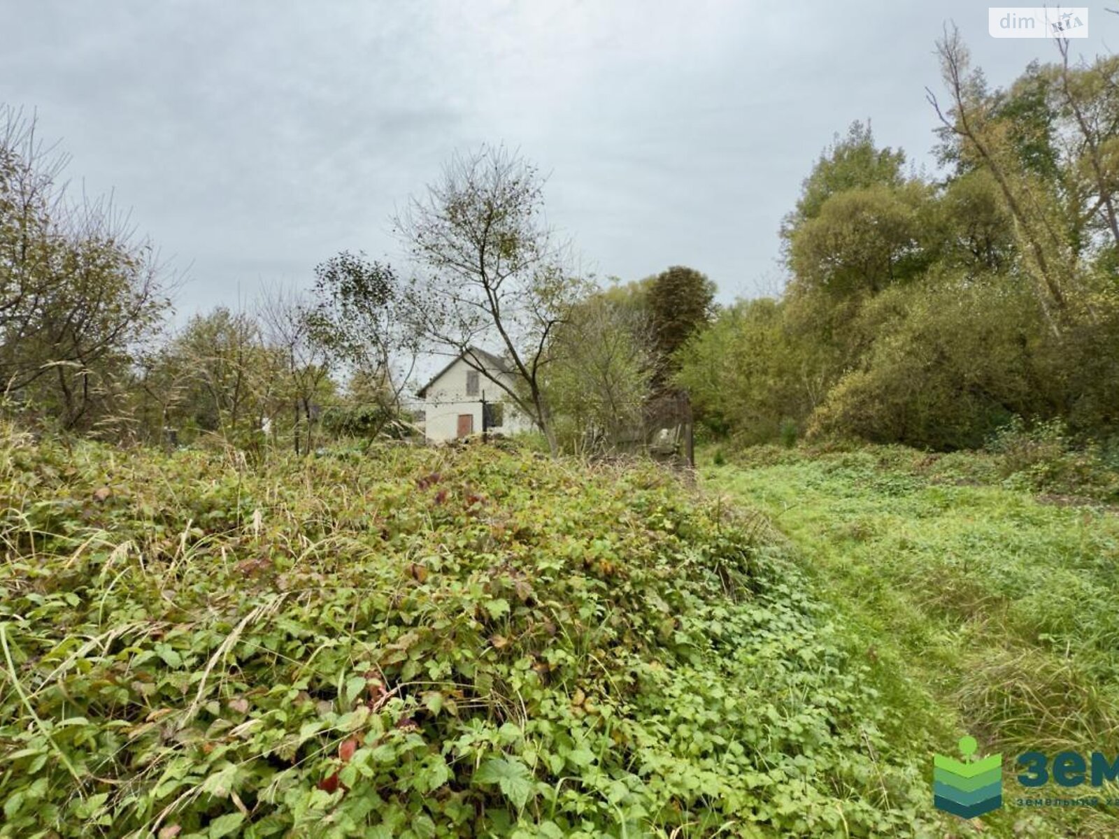 Земельна ділянка сільськогосподарського призначення в Хриплині, площа 5.9 сотки фото 1 Земельна ділянка сільськогосподарського призначення в Хриплині, площа 5.9 сотки фото 1